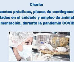Conversatorio sobre Aspectos Practicos, Planes de Contigencia y Prioridades en el Cuidado y Empleo de Animales de Experimentacion durante la Pandemia COVID-19