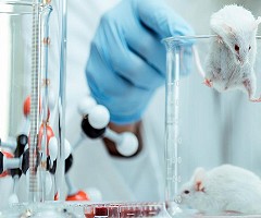 La dilución del plasma sanguíneo rejuvenece órganos y tejidos