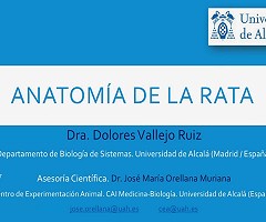 Nueva edición del Video Anatomía de la Rata de la Universidad de Alcalá