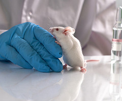 Manejo de animales en laboratorios ABSL-3 durante una tormenta