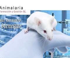 Habemus ganador! Sorteo de la beca de Animalaria