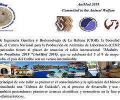 Taller internacional 