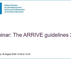 Webinar: The ARRIVE guidelines 2.0