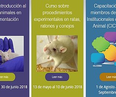 Aula Virtual Bioterio: Capacitación en Animales de Laboratorio 2018