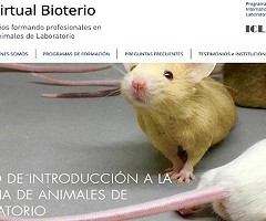 Aula Virtual Bioterio: Ya está disponible la inscripción para los primeros cursos 2019