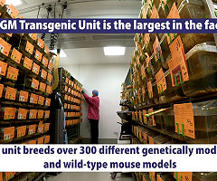 Animal Facility at the Babraham Institute: Explore our Science Facilities (YouTube)