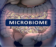 Científicos descubren qué gérmenes intestinales desencadenan la alimentación compulsiva