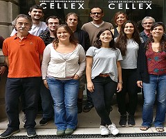 Identifican una proteína fundamental para garantizar la regeneración hepática