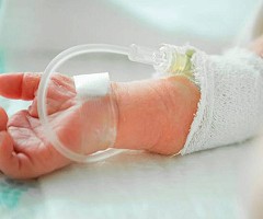 Un compuesto del cannabis reduce el daño cerebral por asfixia de recién nacidos