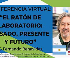 Conferencia Virtual FeSAHANCCCAL: