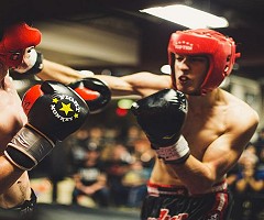 Científicos “apagan” el comportamiento agresivo en los ratones