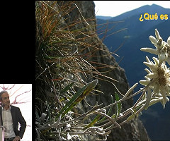 Conferencia de Carlos Briones: «La vida ya no es lo que era»