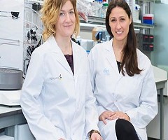 Cáncer: anuncian que lograron inhibir en ratones una proteína clave en el desarrollo de los tumores