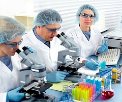 La ciencia necesita tiempo para pensar: el movimiento que quiere acabar con la cultura de “publicar o morir”