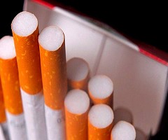 Científicos prueban