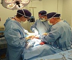 Una nueva forma de reparar el tejido dañado del corazón