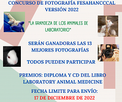 Concurso de Fotografía FeSAHANCCCAL 2022: