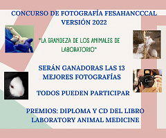Ganadores del Concurso de Fotografía FESAHANCCCAL Versión 2022
