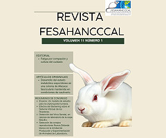 Revista FESAHANCCCAL: Vol. 11 Núm. 1 (2025)