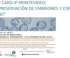 Curso CARD-IP Montevideo: “Criopreservación de Embriones y Esperma Murino