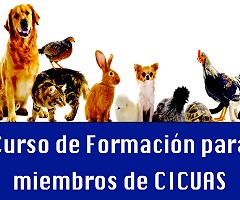Curso de formación para miembros de CICUAS