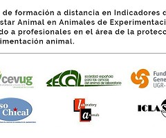 Curso de formación a distancia en Indicadores de Bienestar Animal en Animales de Experimentación