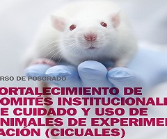 Posgrado ICIVET 2018 - Curso de posgrado - Fortalecimiento de CICUALES