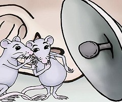 Un software ayuda a los investigadores a descifrar la charla de los roedores