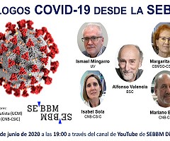 Webinar: Diálogos COVID-19 desde la SEBBM