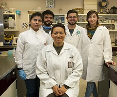 Investigadores mexicanos eliminan el 100% del virus del papiloma humano con tratamiento de fotodinámica