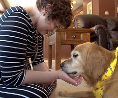 Las similitudes genéticas entre perros y humanos ayudan en la investigación del cáncer