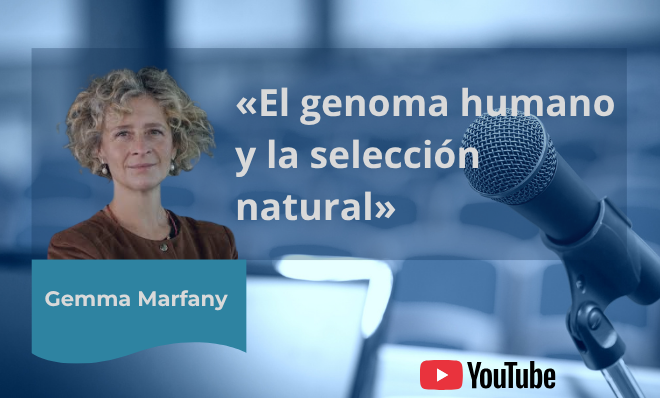 Gemma Marfany presenta una conferencia científica sobre genética y evolución (YouTube)