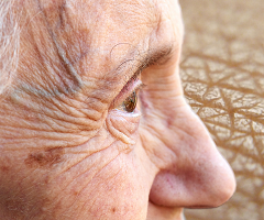 La piel podría convertirse en un indicador temprano del envejecimiento cerebral y óseo, según un estudio en ratones