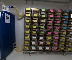 Visita virtual de un Bioterio