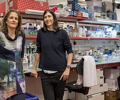 Científicos españoles rejuvenecen tejidos para tratar una enfermedad sin cura