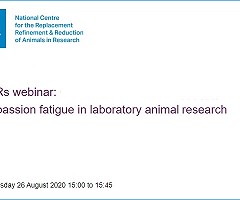 NC3Rs webinar: Compassion fatigue in laboratory animal research