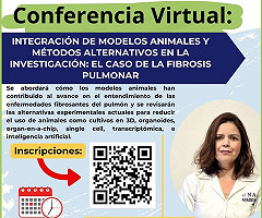 Conferencia Virtual: 