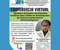 Conferencia Virtual
