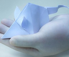 Fiocruz lança pós-graduação em Métodos Alternativos ao Uso de Animais de Laboratório