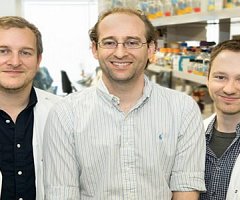 Un argentino dio un gran paso para frenar el VIH