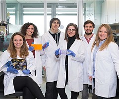 Una nueva herramienta permite reprogramar células adultas a células madre en ratones