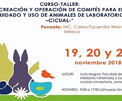 Curso-Taller en Guatemala: