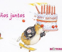 Año nuevo, Diseño nuevo