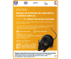 Curso híbrido sobre manejo de animales de laboratorio y cuidados básicos en la UNAM