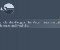 ICLAS Scholarship Program for Veterinarians in Laboratory Animal Science and Medicine