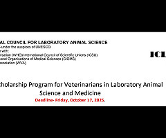 Programa de becas de ICLAS para veterinarios en el ámbito de la ciencia y la medicina de animales de laboratorio