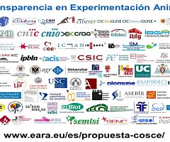 Acuerdo de transparencia sobre el uso de animales en experimentación científica en España