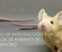 AULA VIRTUAL: Introducción a la Ciencia de los Animales de Laboratorio