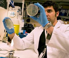 Descritos dos nuevos genes implicados en el cáncer de próstata más agresivo