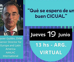 Ciclo de conferencias AACyTAL: Qué se espera de un buen CICUAL